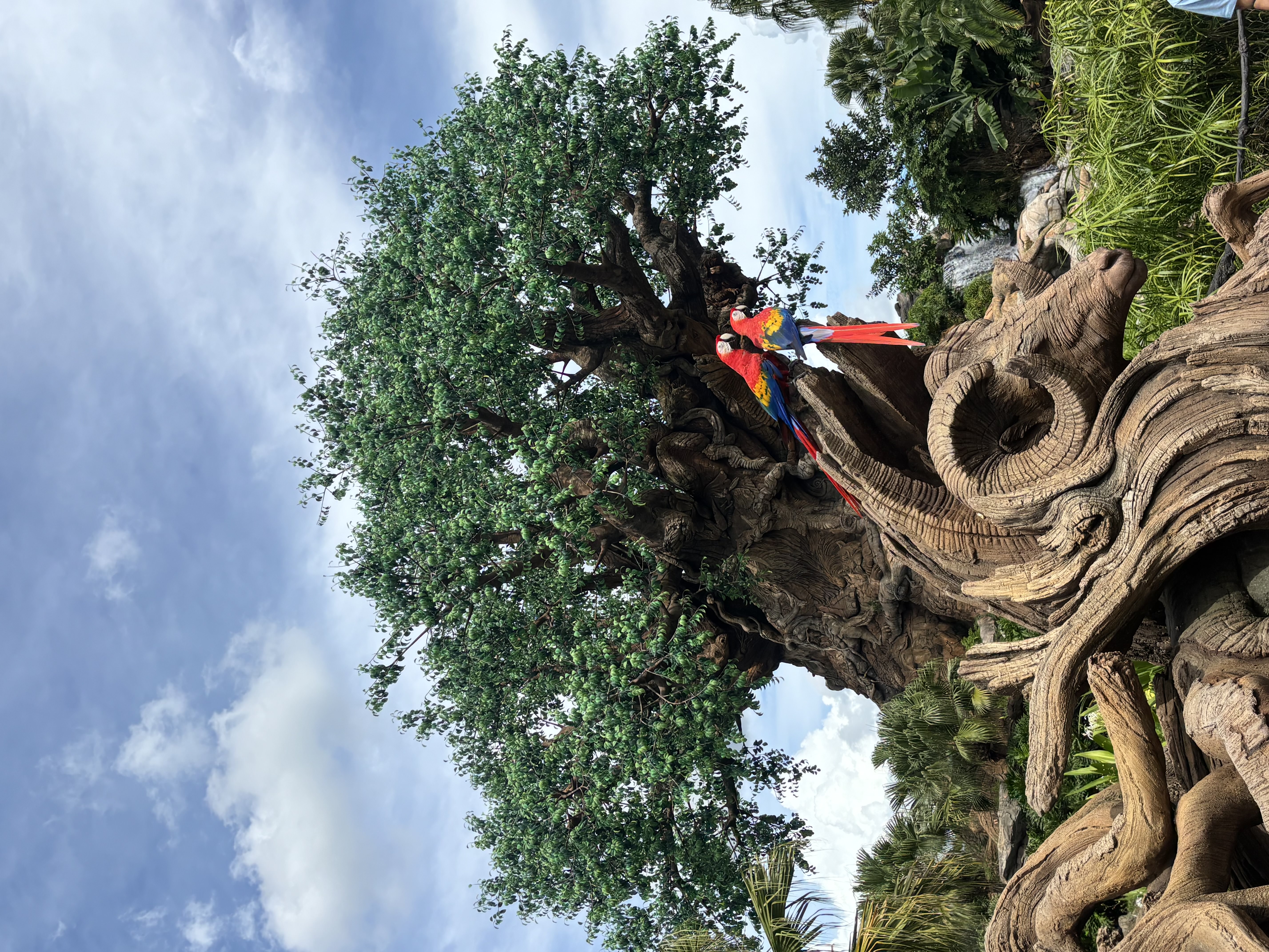 Animal Kingdom — The Tree of Life