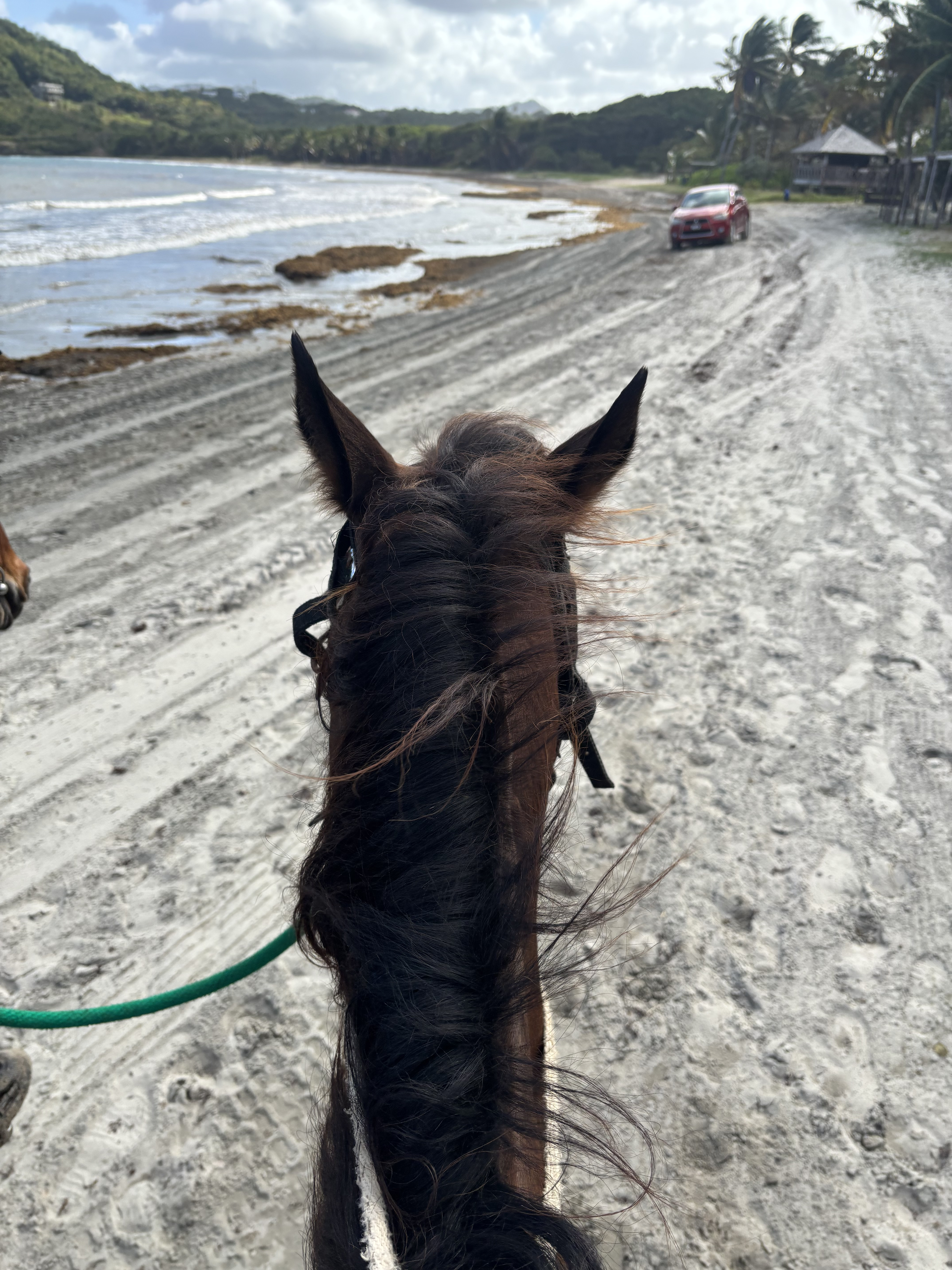 Riding Horses on the Beach